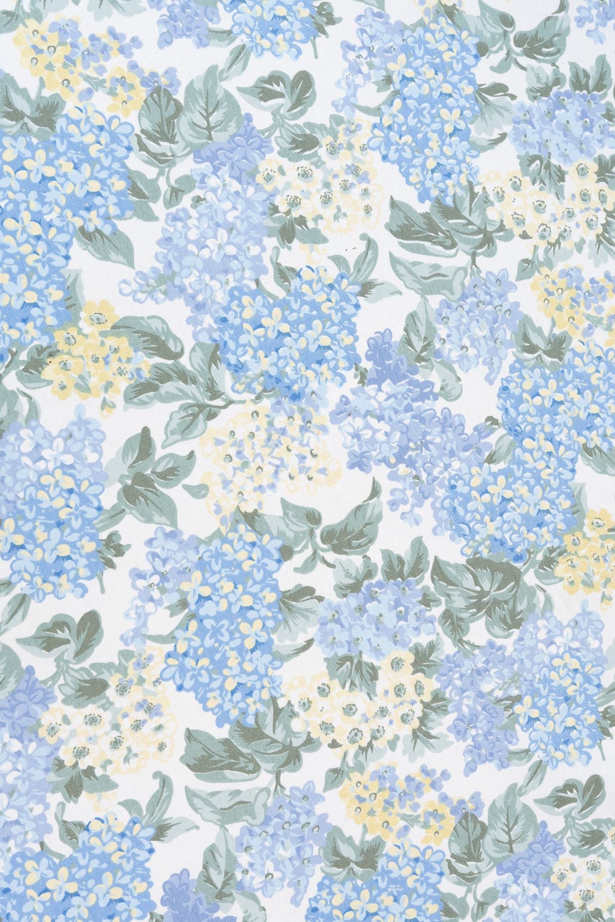 Caminero Hortensia
