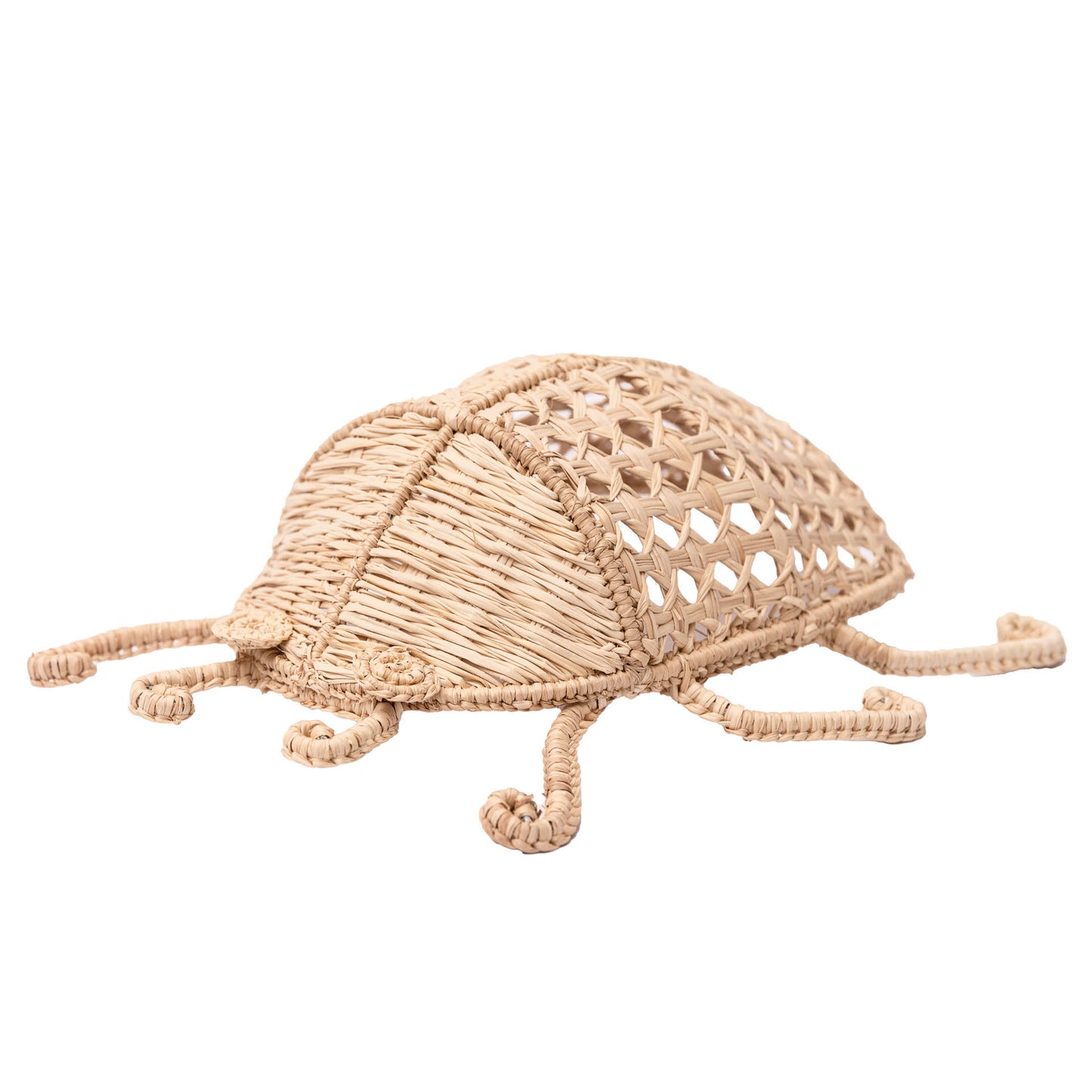 Escarabajo Nature 20cm