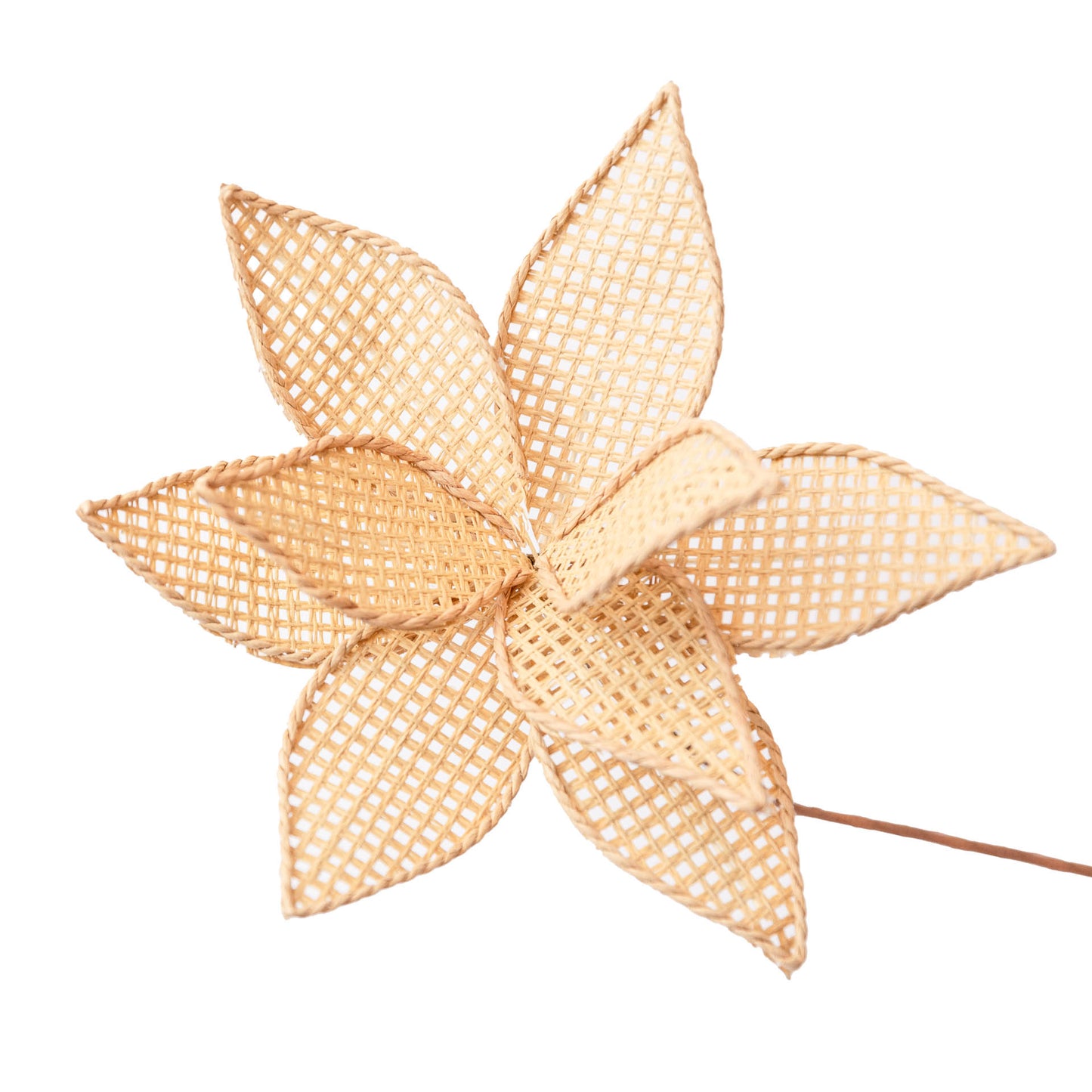 Flor Decorativa Esterilla
