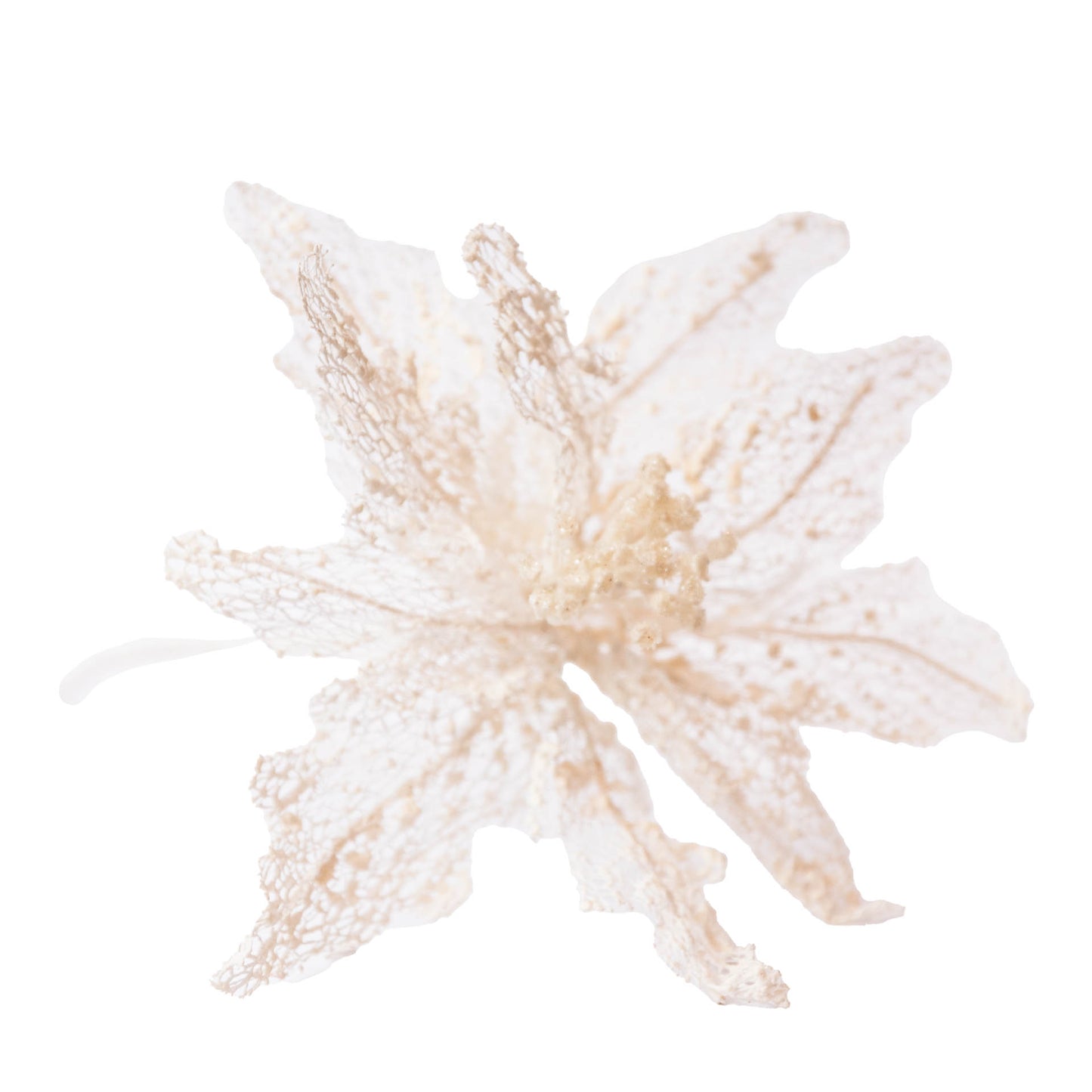 Flor Permanente Decorativa Blanca
