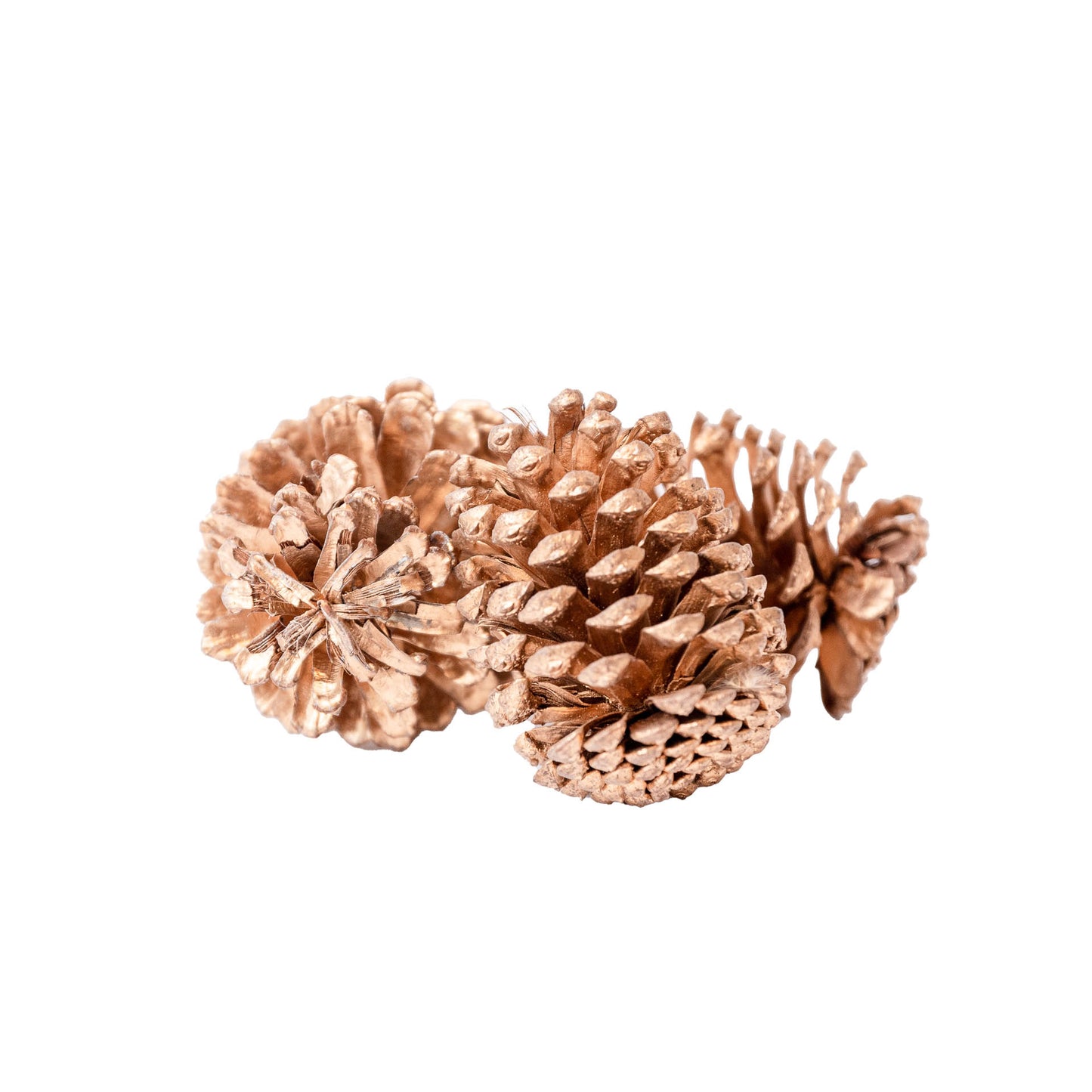 Piñas Doradas