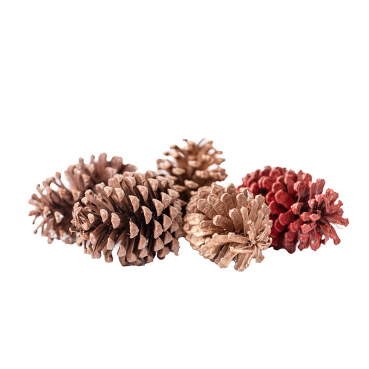 Piñas Roja/Natural/Blanca