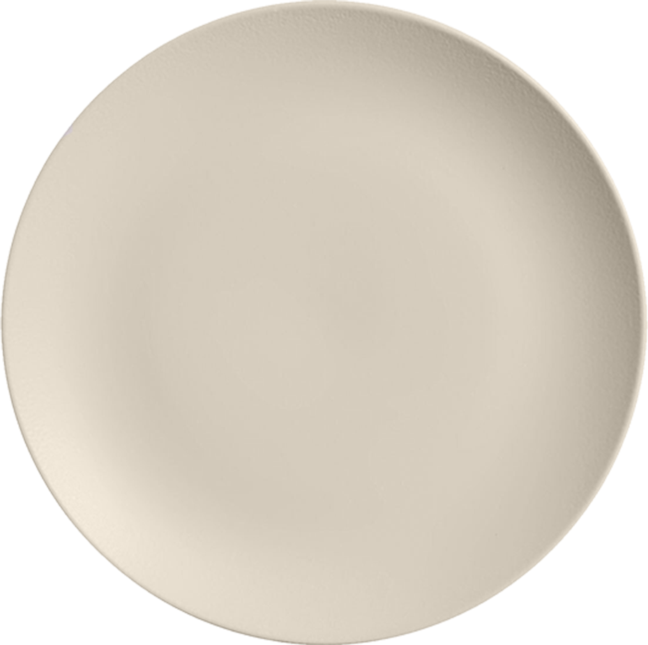 PLATO PRINCIPAL COUP HIELO