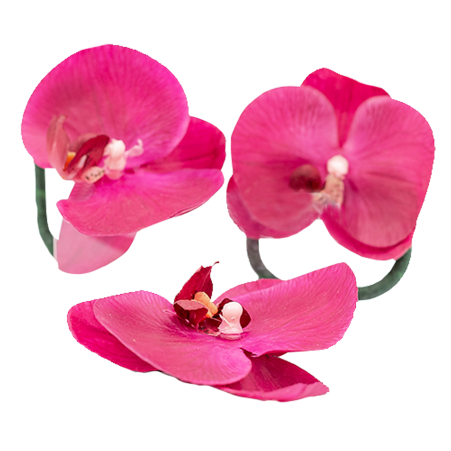 SERVILLETERO ORQUÍDEA FUCSIA